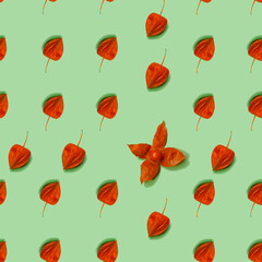 Seamless berry pattern on a green base. Physalis pattern