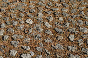 Garden path made of stones with pine needles. Background.