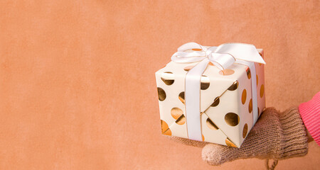 Christmas winter gift concept. Hands in warm gloves hold a gift