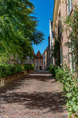 Fototapeta na wymiar Traditional buildings in Deventer in the city center