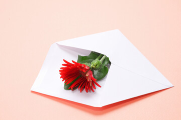白い封筒に入れた赤いガーベラの花