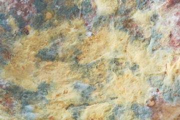 Food Mold fungus. Abstract background with copy space. Background of Colony Characteristics of...