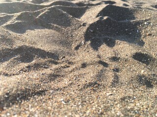footprints in the sand