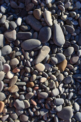 rocks on the beach