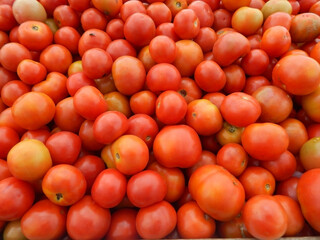 Red and ripe tomatoes in market