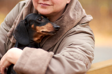 An adult woman on a walk in the autumn forest hugs a dog