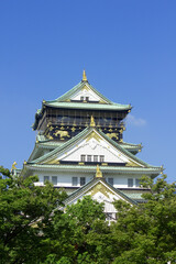 Fototapeta premium 大阪城の天守閣と青空