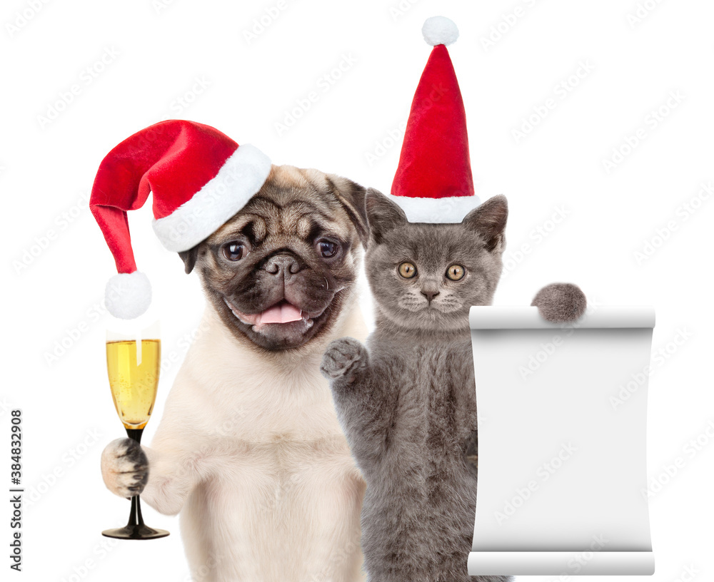Aufkleber funny cat holds empty list. pug puppy holds glass of wine. pets wearing red christmas hats. isolated
