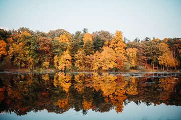 autumn in the park