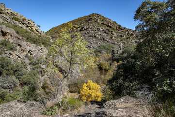 Otoño en el Parque Nacional de Cabañeros,, Castilla la Mancha, España