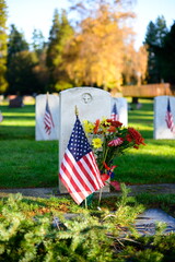 American Flags on Cemetery