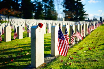 American Flags on Cemetery - obrazy, fototapety, plakaty