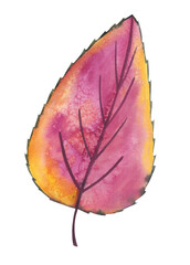 Watercolor botanical art. Decorative hand drawn autumn leaf with a grunge texture. Pink color on white background.