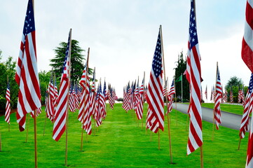 American Flags on Cemetery