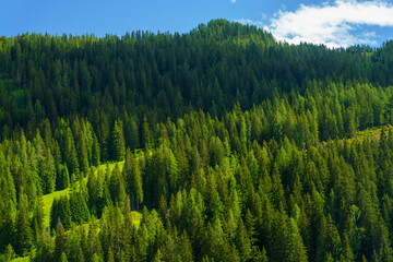 Mountain landscape along the road to Forcella Staulanza at Selva di Cadore, Dolomites