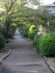 住宅団地の散歩道