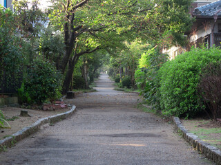 住宅団地の散歩道