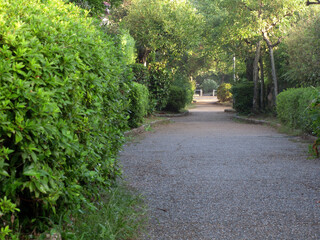 住宅団地の散歩道