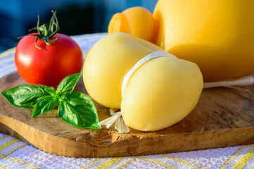 Cheese collection, Italian cheeses provolone, caciocavallo, scamorza made from sheep or cow milk in South Italy, white and yellow smoked.