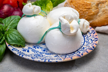 Cheese collection, fresh soft Italian cheese from Puglia, white balls of burrata or burratina...