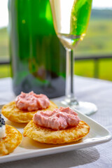 Tasting and pairing of french champagne wine with pancakes, creme fresh, red and black fish caviar and view on green vineyards of Champagne near Epernay on background