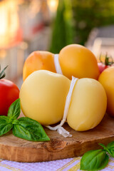 Cheese collection, Italian cheese scamorza made from cow milk in South Italy, white and yellow smoked.