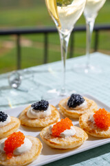 Tasting and pairing of french champagne wine with pancakes, creme fresh, red and black fish caviar and view on green vineyards of Champagne near Epernay on background