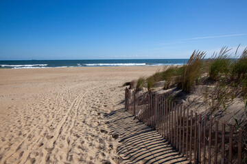 Fototapeta na wymiar Beach at Sandbridge, Virginia. Blue sky, Atlantic Ocean, beach and sand dunes.