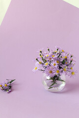 Bouquet of purple chrysanthemums in a glass vase on a purple background, side view, vertical frame