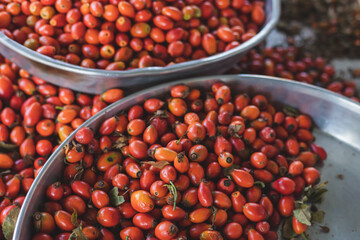 Harvested rose hips in tray.