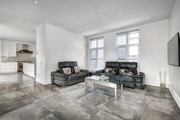 Big modern luxury furnished house in Montreal with swimming pool and backyard