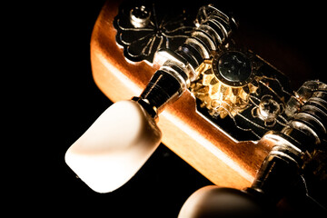 Close Up of Mandolin Tuning Peg and Gear System