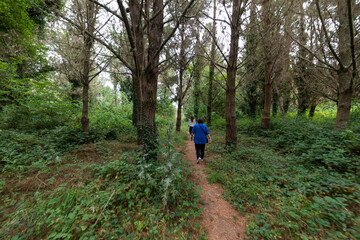 Fototapeta premium a lady and a young girl walk through the field, they are surrounded by lush green trees 