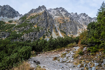 Fototapeta na wymiar Autumn scene, High Tatras mountains, Slovakia
