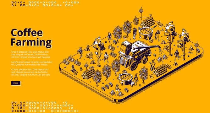 Coffee Farming Banner. Eco Technologies For Picking Coffee Beans On Plantation. Vector Isometric Illustration Of Modern Field With Solar Panels, Combine Harvester, Trees And Workers