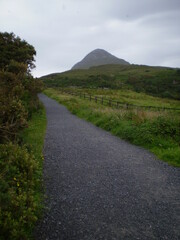 Rural road through green landscape in Ireland