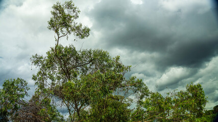 sky and clouds