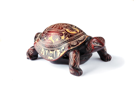 Turtle with the image of the Buddha on the shell, white background.