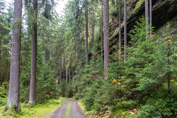 Herbstwanderung um Tambach-Dietharz - zwischen Marderbach und Steigerhaus