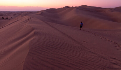 Fototapeta na wymiar Alone in the desert