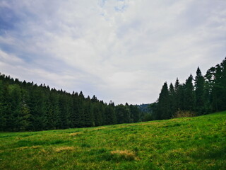Fototapeta na wymiar Mountain scenery of the Beskids. Poland