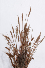 Autumn bouquet of dried flowers and plants on a white wall background