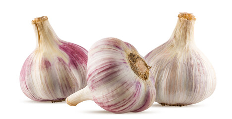 Garlics isolated on white background
