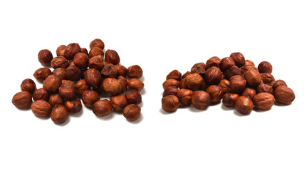 Hazelnut isolated on a white background.