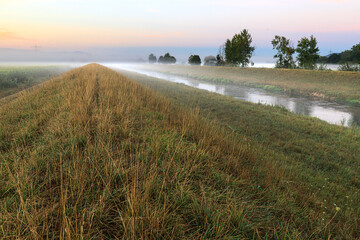 Fototapeta na wymiar The river Dreisam near the town Riegel in morning mist at summer