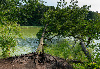 Landschaft am See