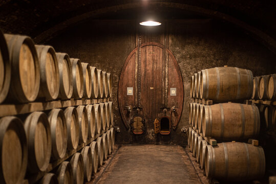 Wooden barrels for wine aging in the cellar. Italian wine.