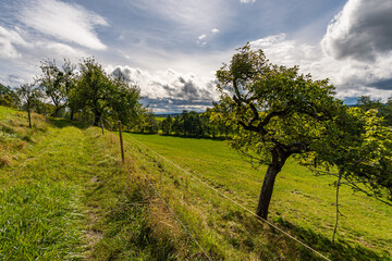 Fototapeta na wymiar Wonderful, sunny autumn hike in Upper Swabia near Wilhelmsdorf near Lake Constance