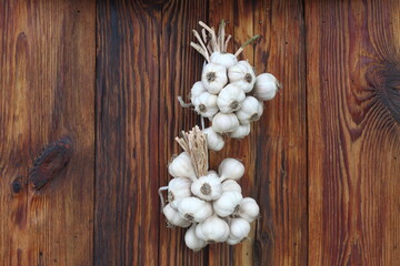 garlic tied in a bunch lies on wooden boards
