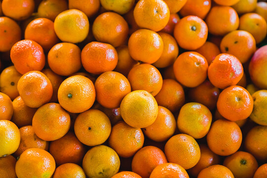 Fresh Tangerines Display at the Farm Market